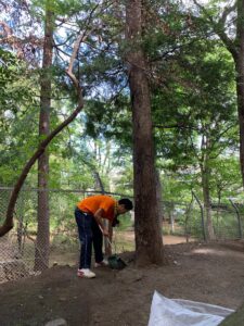 2019年9月22日（日）　松が丘北野神社境内清掃